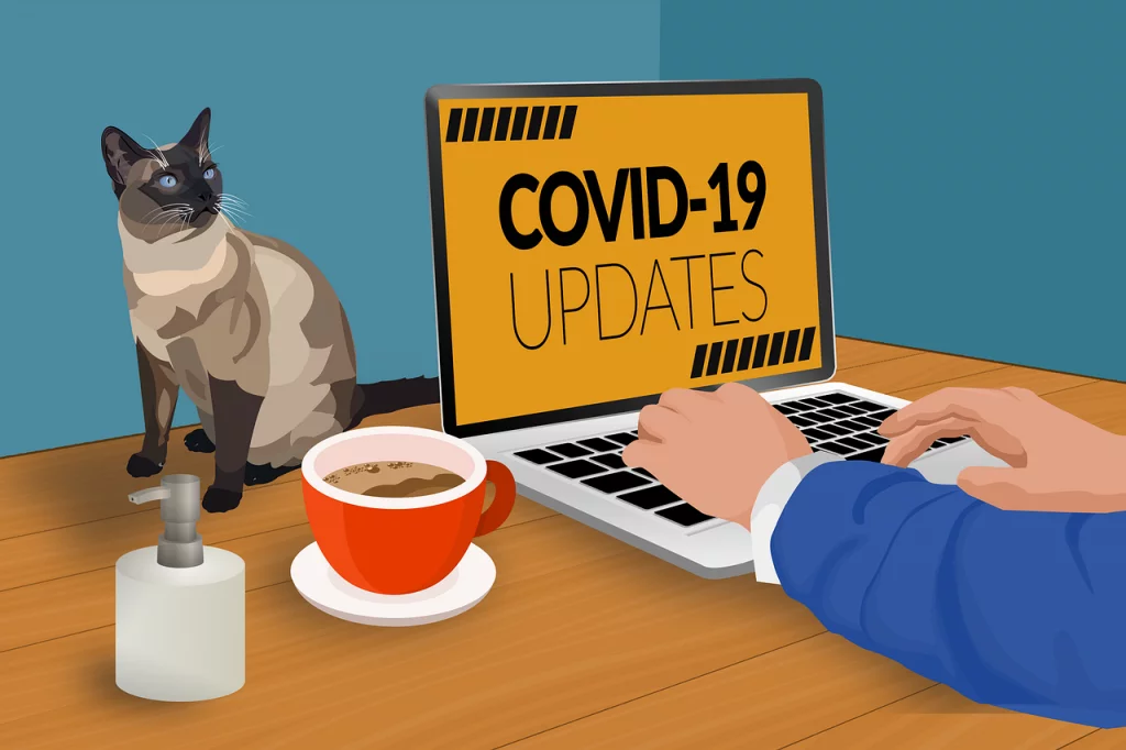 COVID-19 InfoSec Impacts